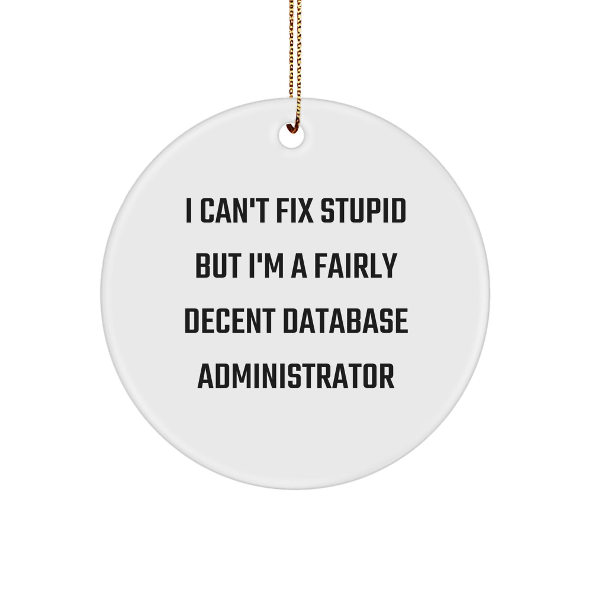 Funny Database Administrator Gifts from Friends, Unique Circle Ornament for Christmas, Humorous Quote about Being Decent - I Can't Fix Stupid But I'm A Fairly Decent Database Administrator - Image 1