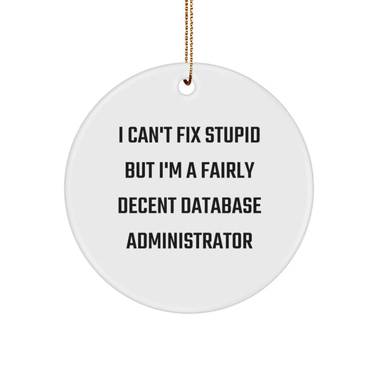 Funny Database Administrator Gifts from Friends, Unique Circle Ornament for Christmas, Humorous Quote about Being Decent - I Can't Fix Stupid But I'm A Fairly Decent Database Administrator - Image 1