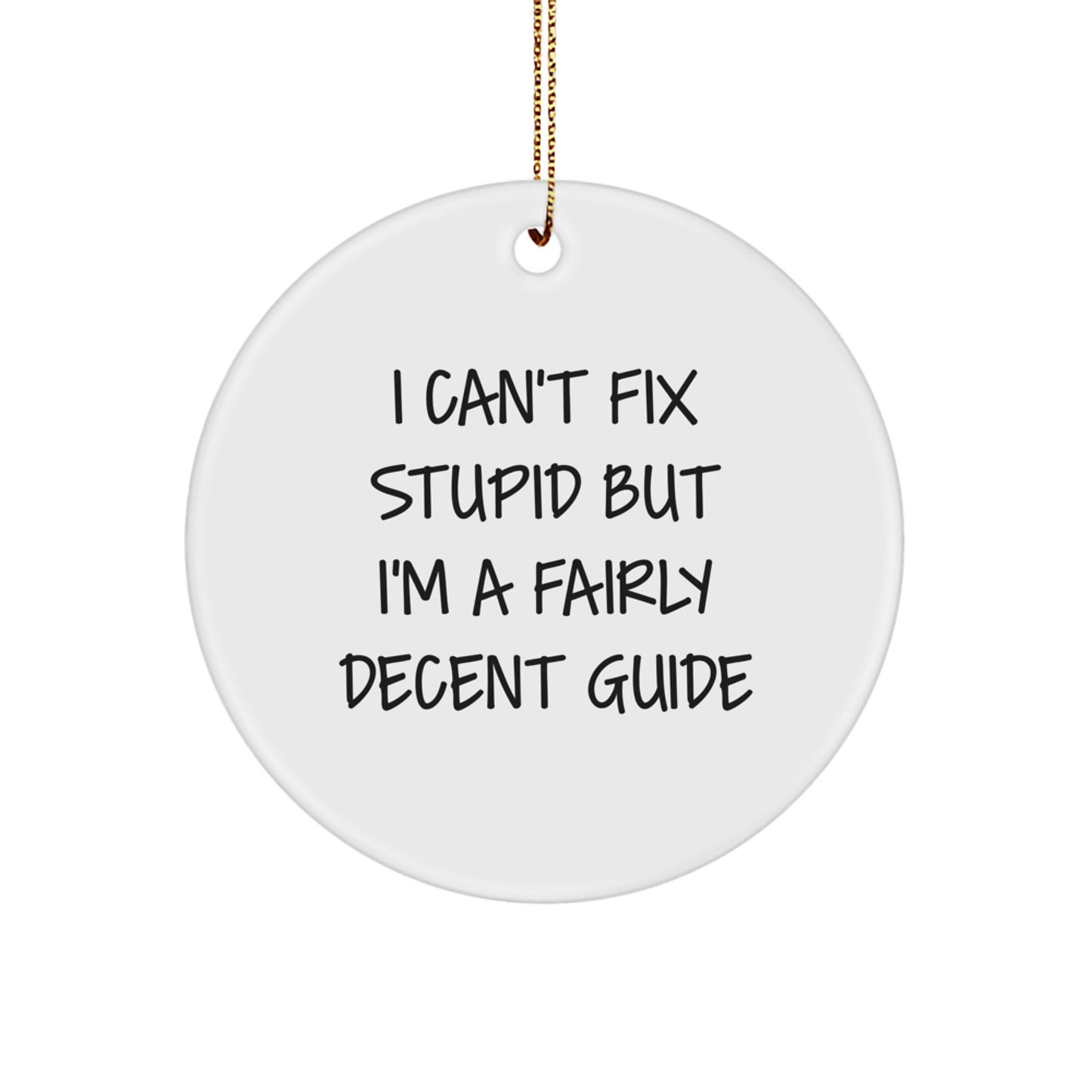 Christmas Unique Gift for Her Guide Circle Ornament – I Can't Fix Stupid - Image 1
