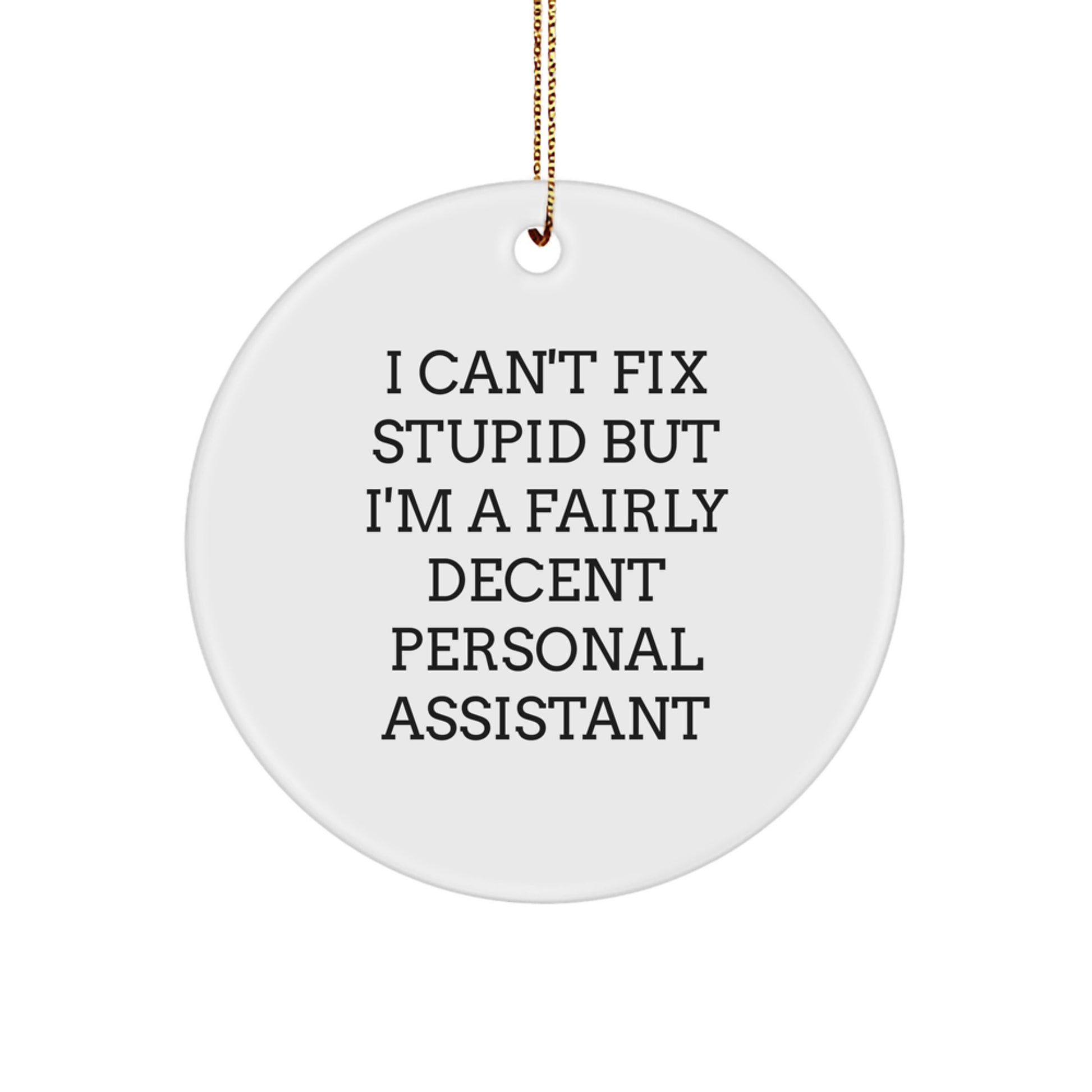 Funny Personal Assistant Gifts for Friends, Coworkers, or Family - I Can't Fix Stupid But I'm A Fairly Decent Personal Assistant Circle Ornament for Christmas - Image 1