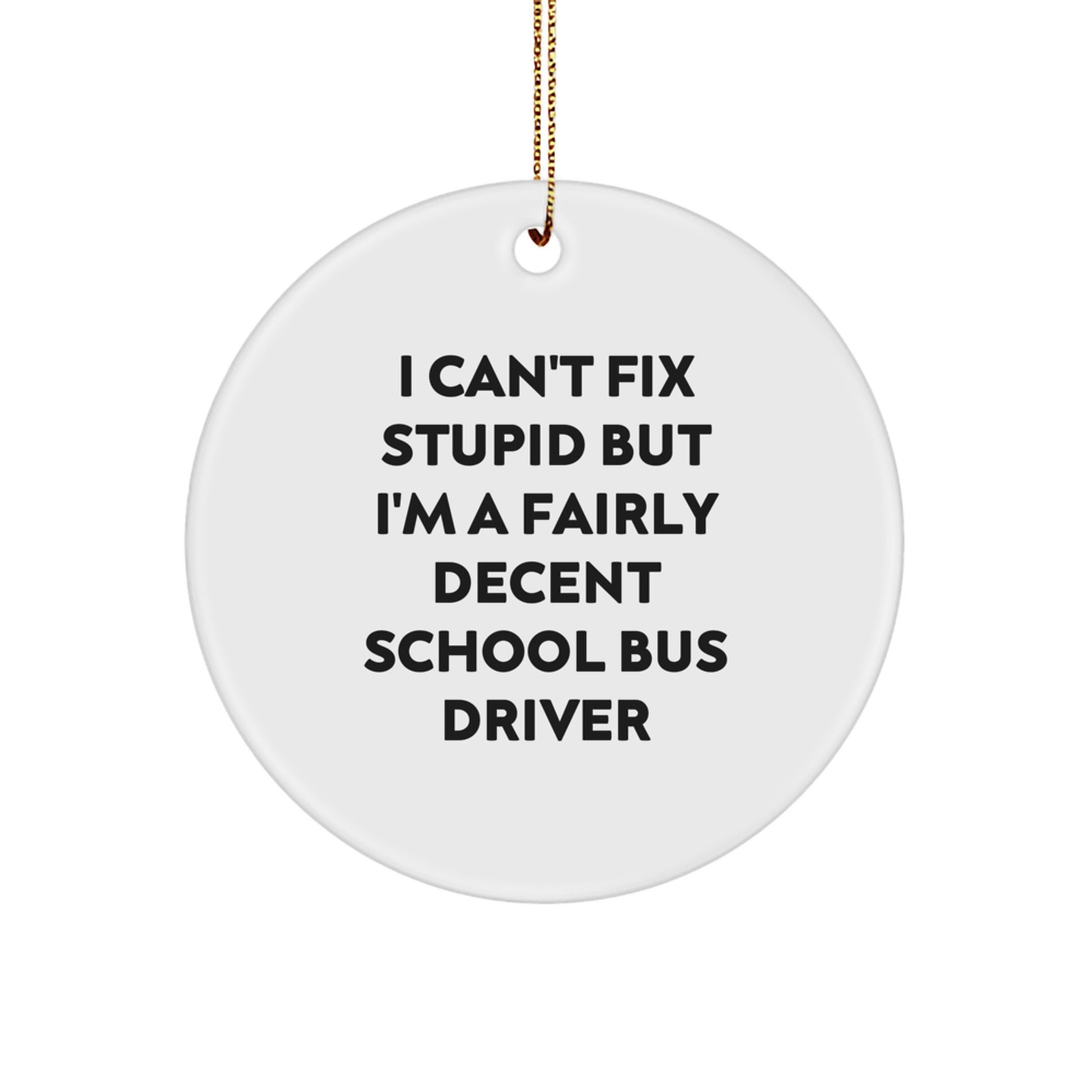 Funny School Bus Driver Gifts from Friends for School Bus Driver - I Can't Fix Stupid But I'm A Fairly Decent Circle Ornament for Christmas - Image 1