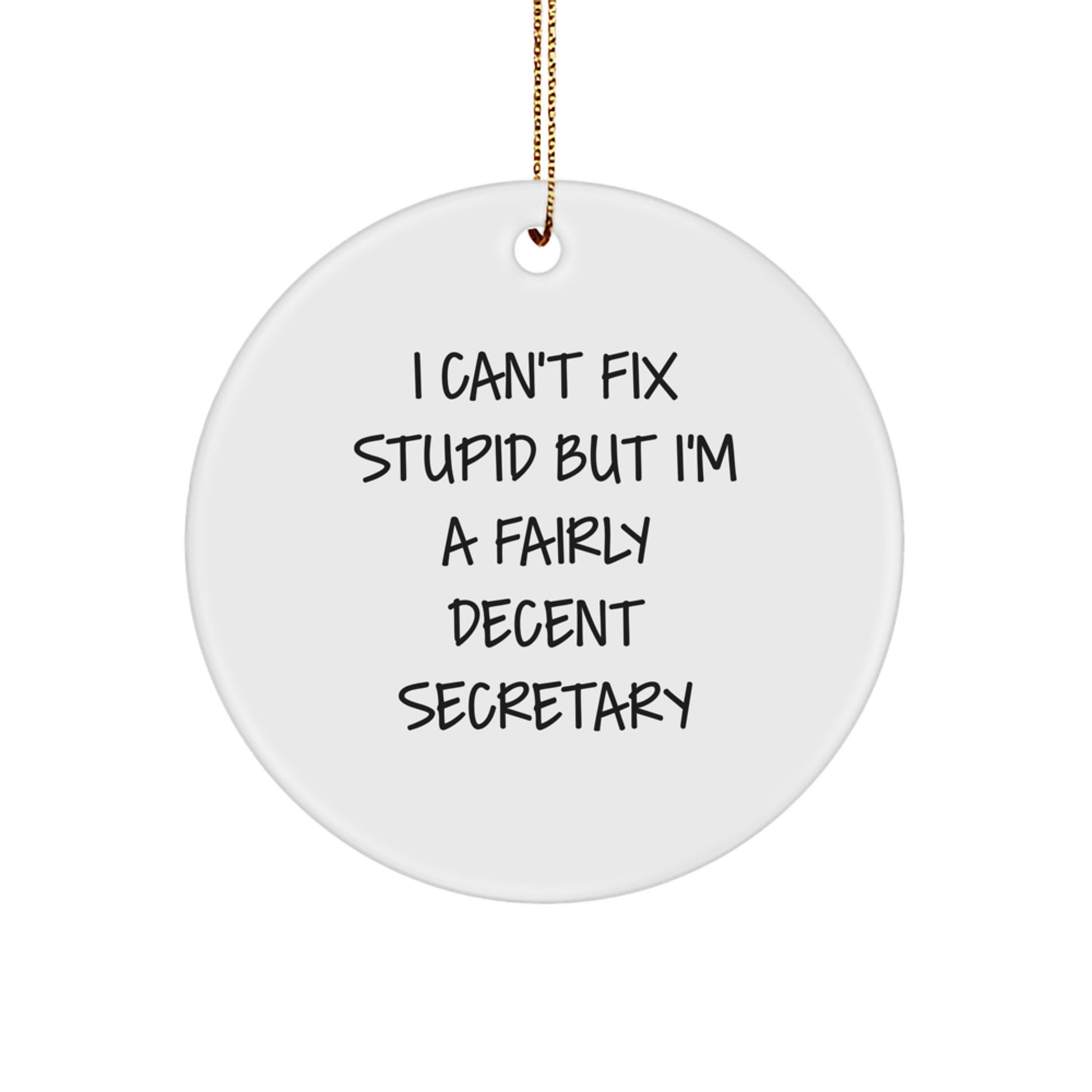 Funny Secretary Gift, I Can't Fix Stupid But I'm A Fairly Decent Secretary, Christmas Unique Circle Ornament Gifts for Secretary - Image 1