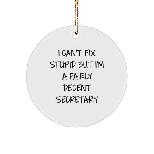 Funny Secretary Gift, I Can't Fix Stupid But I'm A Fairly Decent Secretary, Christmas Unique Circle Ornament Gifts for Secretary - Image 1