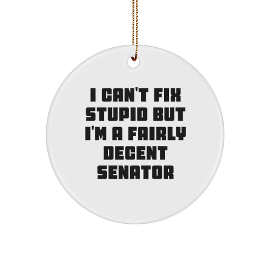 Funny Senator Gifts for Men, Women, or Friends - I Can't Fix Stupid Senator Circle Ornament, Unique Christmas Decor, Senator Ornaments, Senator Gift for Him or Her - Image 1
