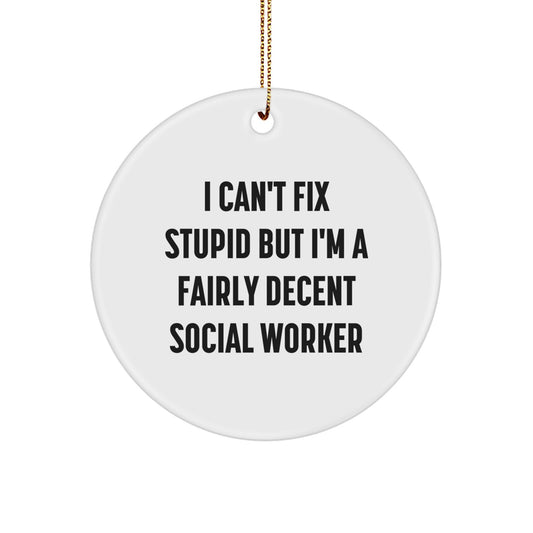 Funny Social Worker Gift, I Can't Fix Stupid But I'm A Fairly Decent Gifts from Men to Women for Christmas Unique Circle Ornaments for Friends and Family - Image 1