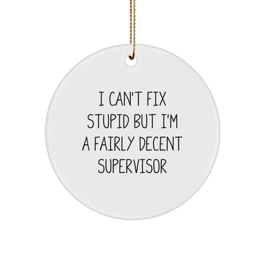 Funny Supervisor Gifts for Men from Friends, I Can't Fix Stupid But I'm A Fairly Decent Supervisor Christmas Unique Circle Ornaments - Image 1