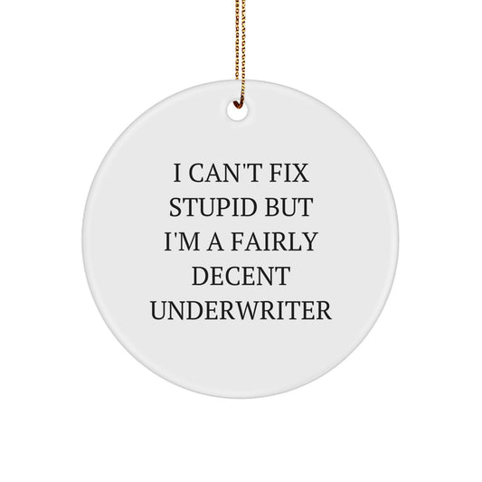 Funny Underwriter Circle Ornament, 'I Can't Fix Stupid' Gift for Male or Female Friends, Coworkers, or Family Members, Christmas Unique Gifts from Men, Women, or Family - Image 1