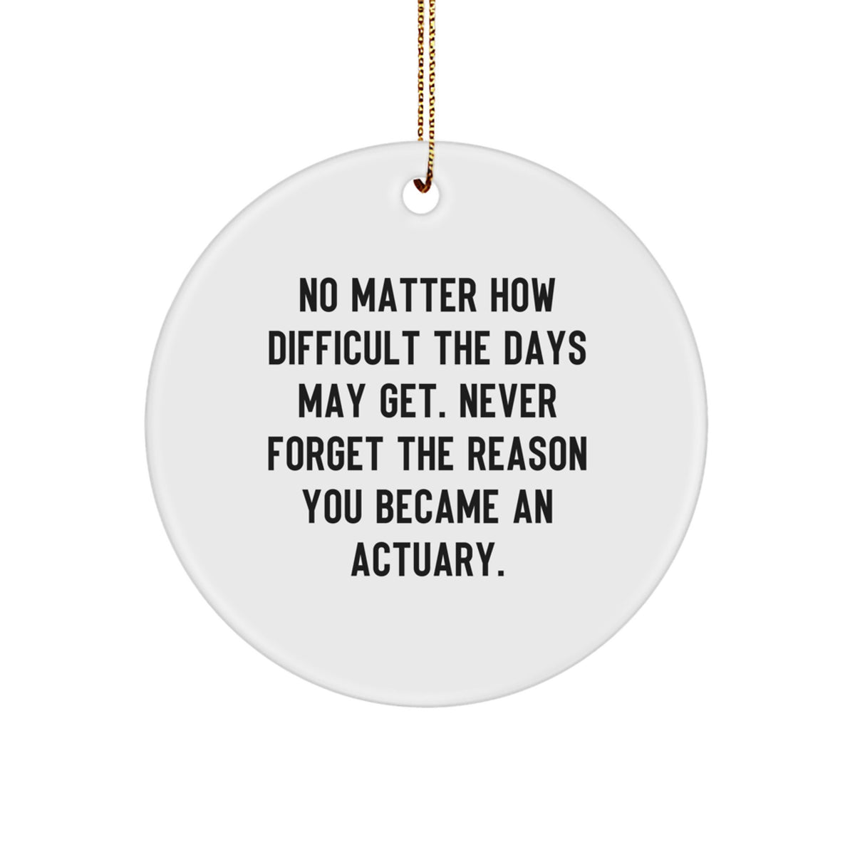Funny Actuary Gifts from Friends, Christmas Unique Circle Ornament for Actuary, Inspirational Quotes about Being an Actuary - Never Forget Why - Image 1