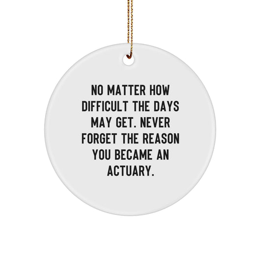 Funny Actuary Gifts from Friends, Christmas Unique Circle Ornament for Actuary, Inspirational Quotes about Being an Actuary - Never Forget Why - Image 1