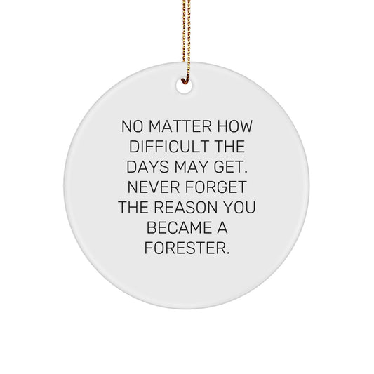 Funny Forester Gifts from Men for Christmas Unique Circle Ornament - Never Forget Reason Became Forester - Image 1