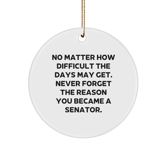 Motivational Senator Christmas Ornament for Friends Gift - Image 1