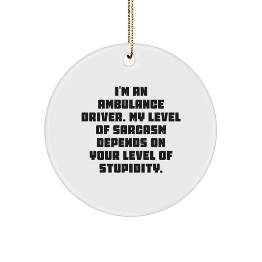 Funny Ambulance Driver Gifts for Men - Sarcasm Level Ornament, Christmas Unique Gifts from Friends and Family, Ambulance Driver Circle Ornament with Humorous Quote - Image 1