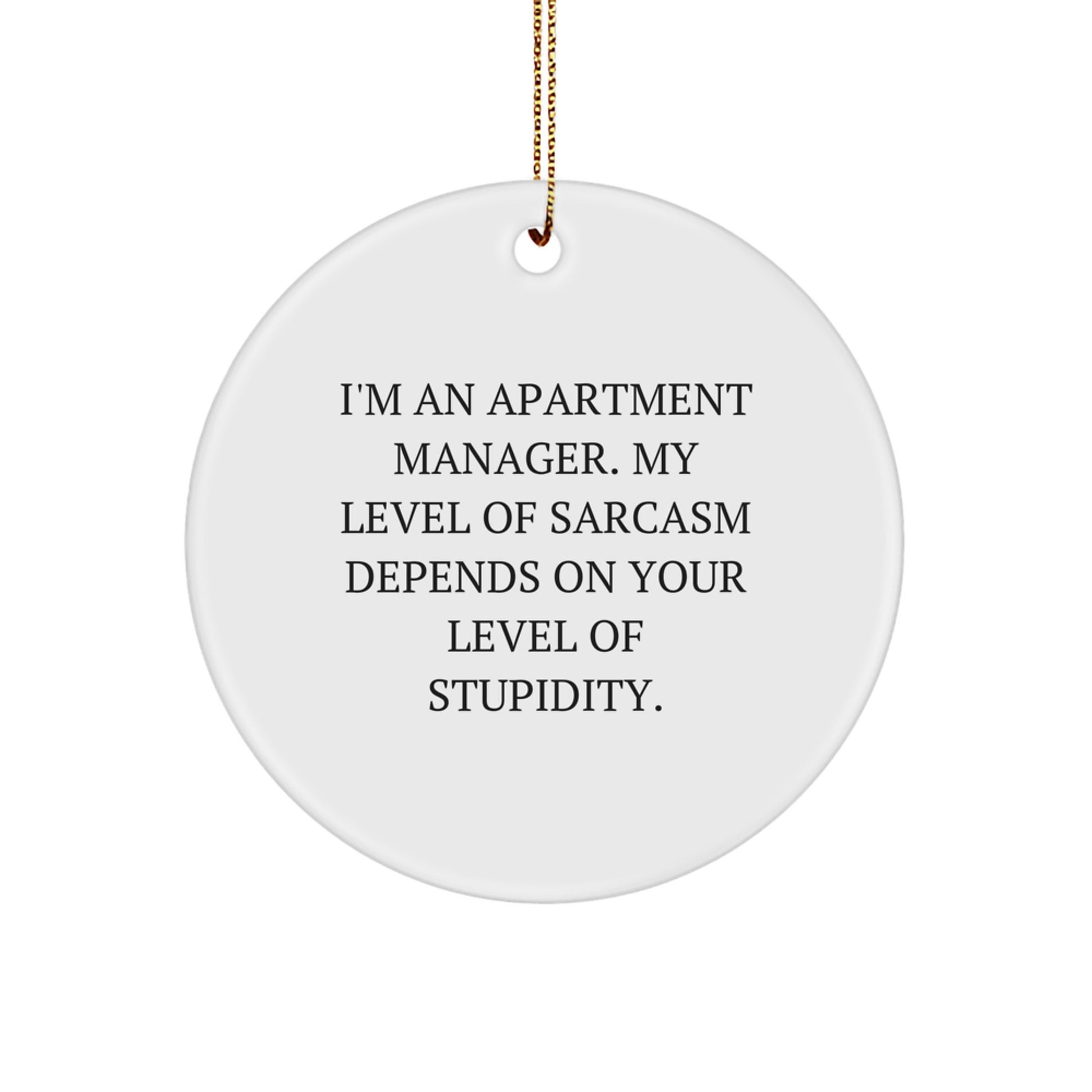 Funny Apartment Manager Christmas Circle Ornament Gifts for Men Women Friends Coworkers - 'I'm An Apartment Manager. My Level Of Sarcasm Depends On Your Level Of Stupidity.' From Friends - Image 1