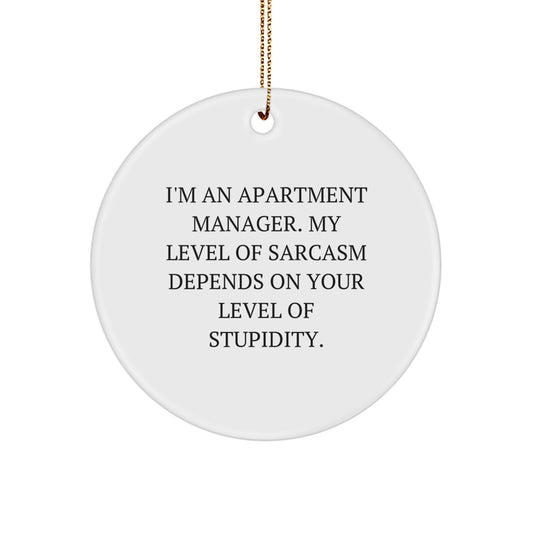 Funny Apartment Manager Christmas Circle Ornament Gifts for Men Women Friends Coworkers - 'I'm An Apartment Manager. My Level Of Sarcasm Depends On Your Level Of Stupidity.' From Friends - Image 1