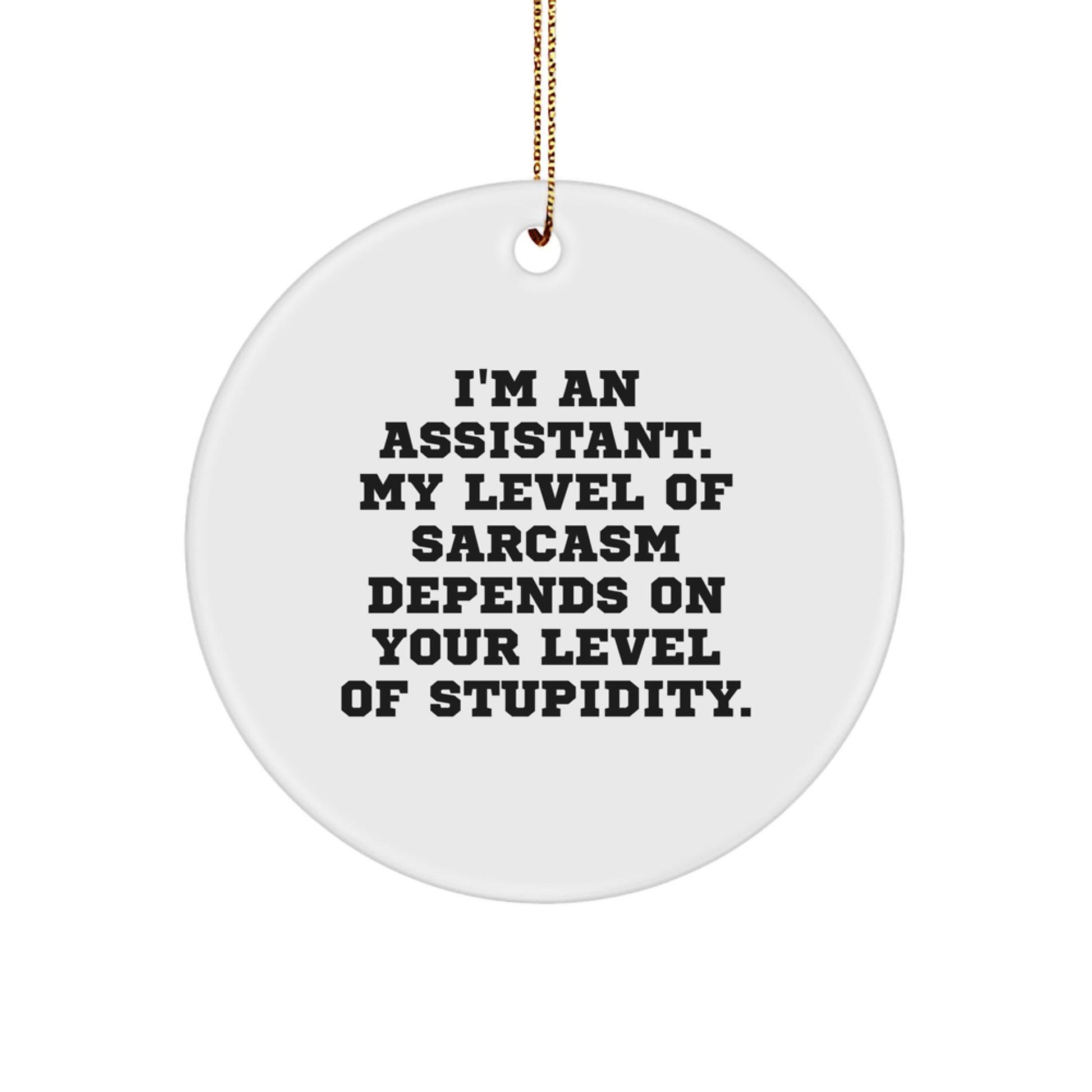 Funny Assistant Gifts for Men from - I'm an Assistant Circle Ornament for Christmas - Image 1