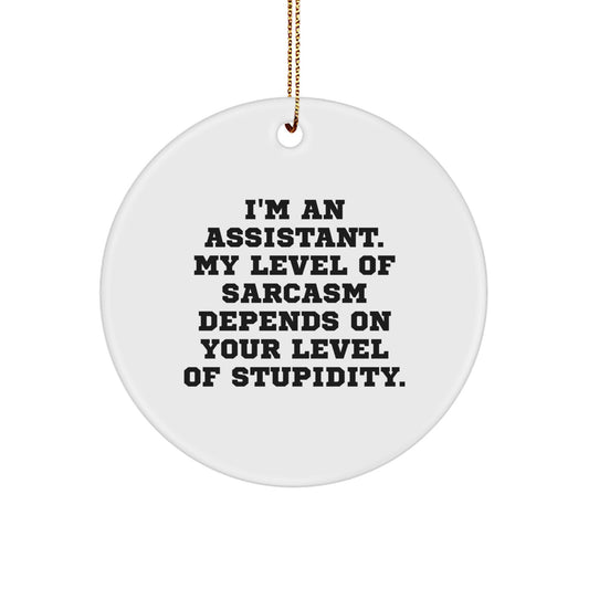 Funny Assistant Gifts for Men from - I'm an Assistant Circle Ornament for Christmas - Image 1
