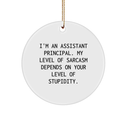 Funny Assistant Principal Gifts - I'm An Assistant Principal. My Level Of Sarcasm Depends On Your Level Of Stupidity. - Circle Ornament for Christmas - Image 1