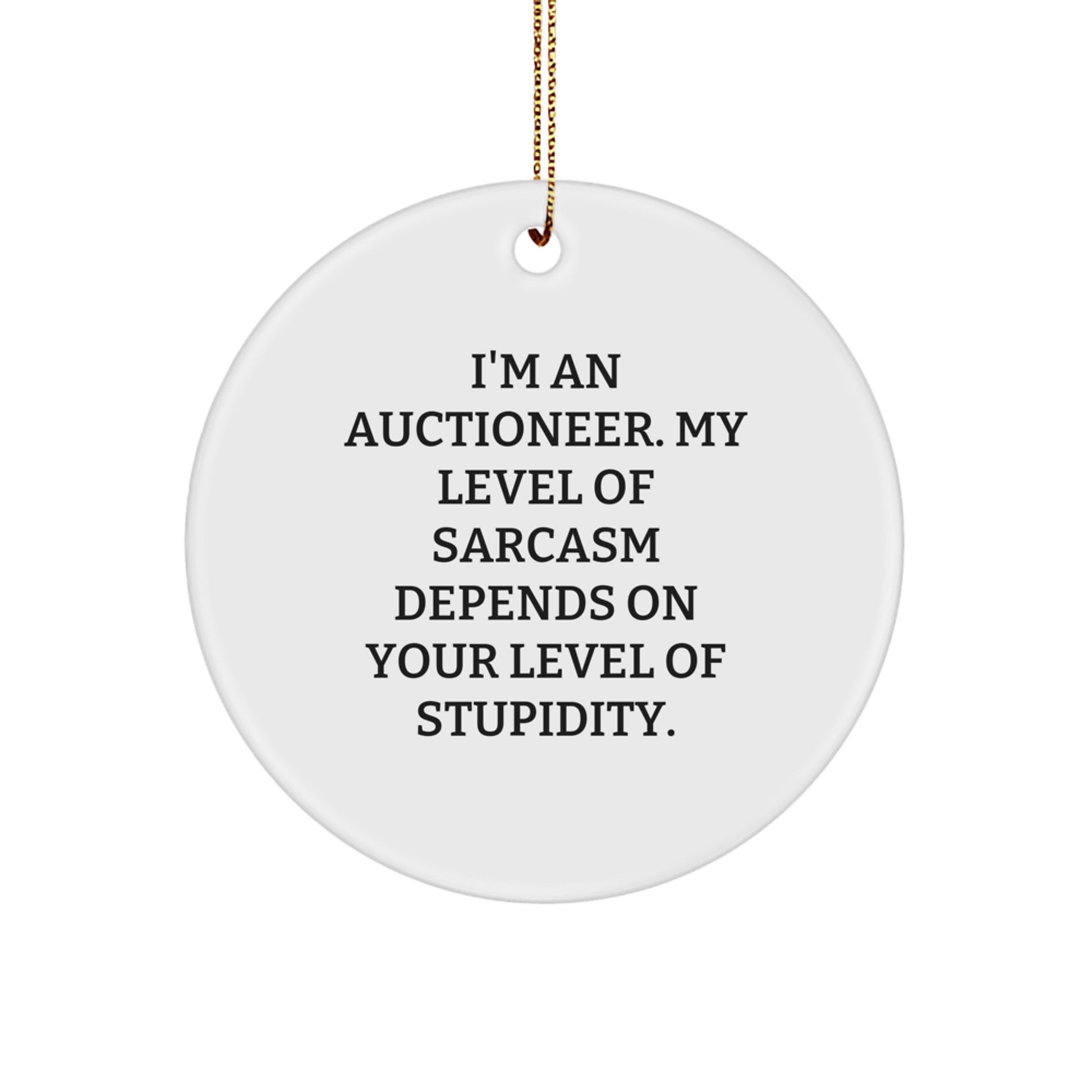 Funny Auctioneer Gifts from Friends with Christmas Unique Circle Ornament - 'I'm An Auctioneer. My Level Of Sarcasm Depends On Your Level Of Stupidity.' for Men, Women, Coworkers - Image 1