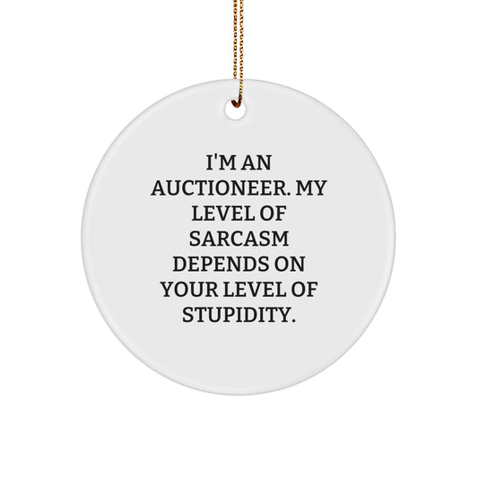 Funny Auctioneer Gifts from Friends with Christmas Unique Circle Ornament - 'I'm An Auctioneer. My Level Of Sarcasm Depends On Your Level Of Stupidity.' for Men, Women, Coworkers - Image 1
