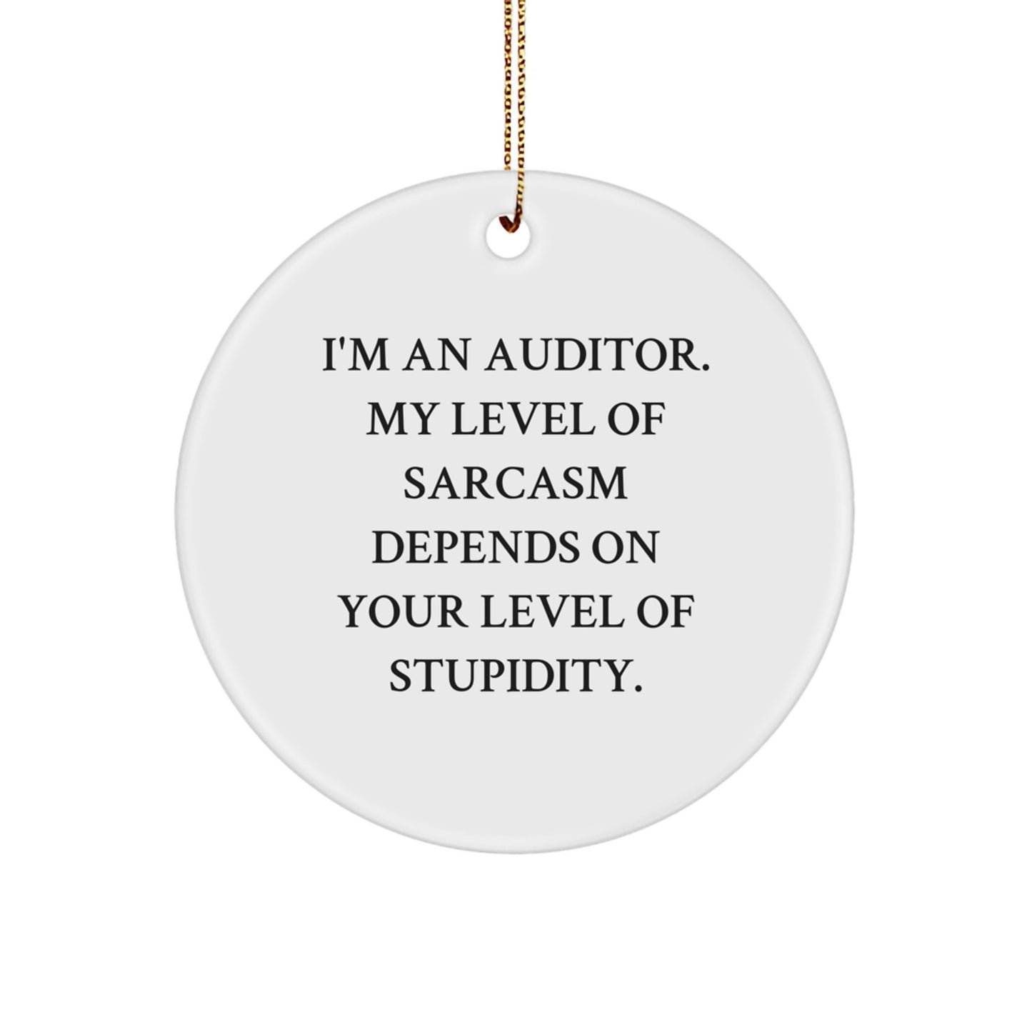 Funny Auditor Gifts Circle Ornament with Sarcasm Quote, Gifts from Coworkers, Gifts for Auditors - Image 1