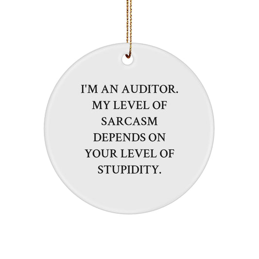 Funny Auditor Gifts Circle Ornament with Sarcasm Quote, Gifts from Coworkers, Gifts for Auditors - Image 1