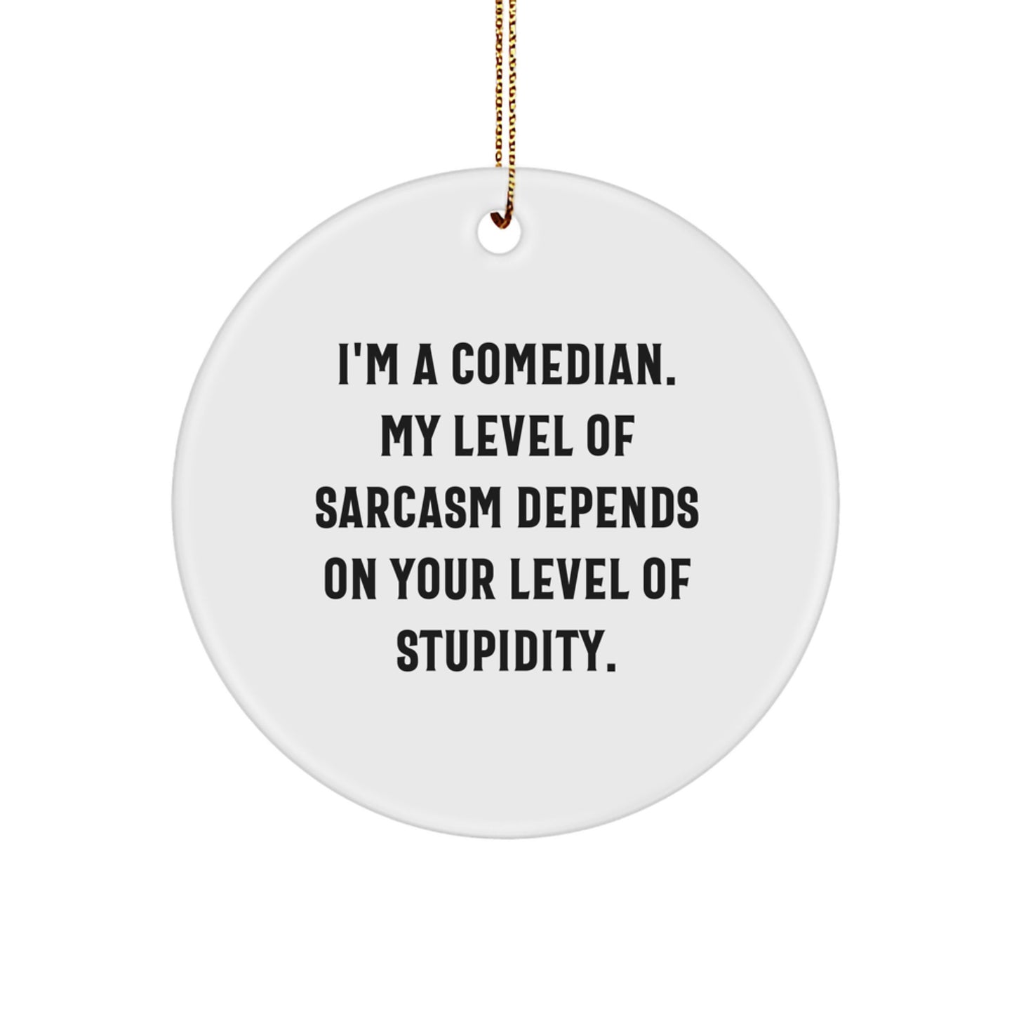 Funny Comedian Sarcasm Gifts from Friends for Comedian Friends Comedian Christmas Unique Gifts - Image 1