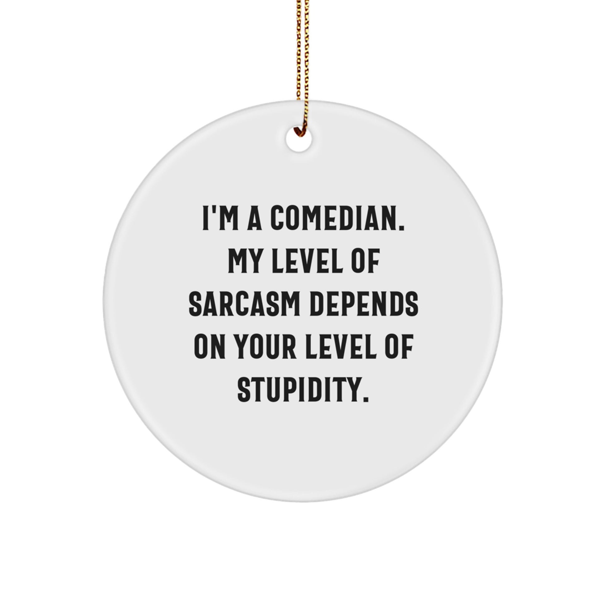 Funny Comedian Sarcasm Gifts from Friends for Comedian Friends Comedian Christmas Unique Gifts - Image 1