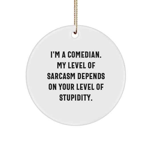 Funny Comedian Sarcasm Gifts from Friends for Comedian Friends Comedian Christmas Unique Gifts - Image 1