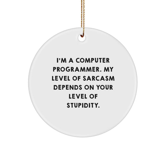 Funny Computer Programmer Gifts from Friends, Circle Ornament with Sarcasm Quote, Perfect for Computer Programmer Men, Unique Christmas Office Decorations - Image 1