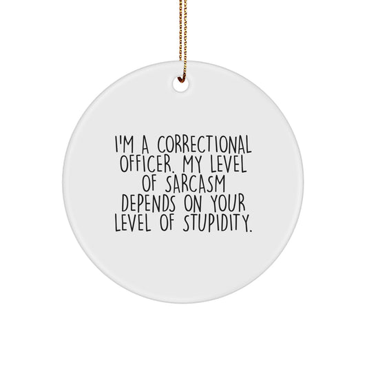 Funny Correctional Officer Gifts from Friends, Christmas Unique Circle Ornament, Humorous Correctional Officer Office Decor, Correctional Officer Humor for Men, Women, Coworkers, Family - Image 1