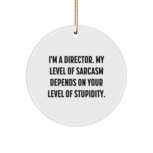 Funny Director Gifts Circle Ornament for Men Friends Family from I'm A Director My Level Of Sarcasm Depends On Your Level Of Stupidity Christmas Unique Gifts - Image 1