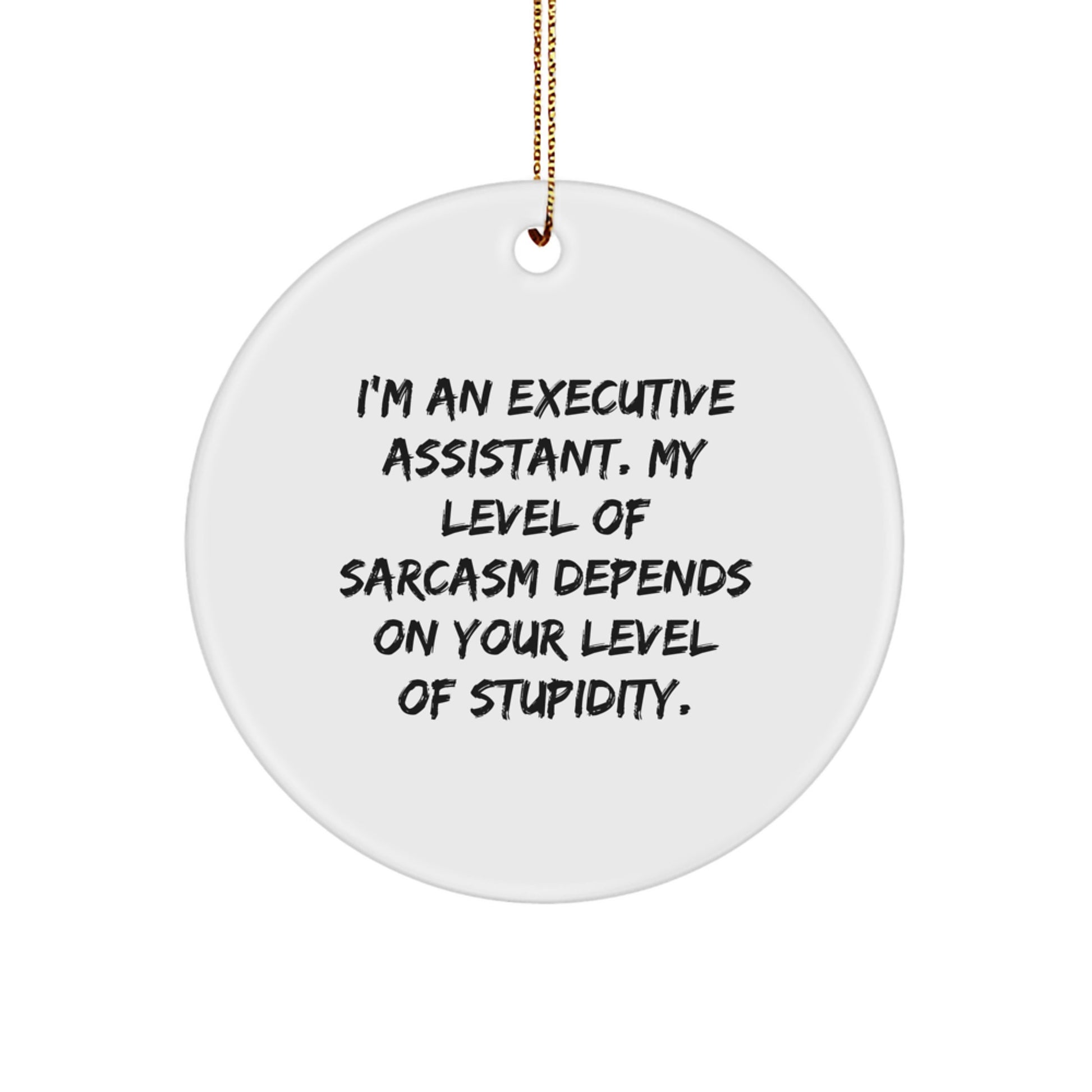 Funny Executive Assistant Gifts for Office - 'My Level Of Sarcasm Depends On Your Level Of Stupidity' Circle Ornament, Christmas Unique - Image 1