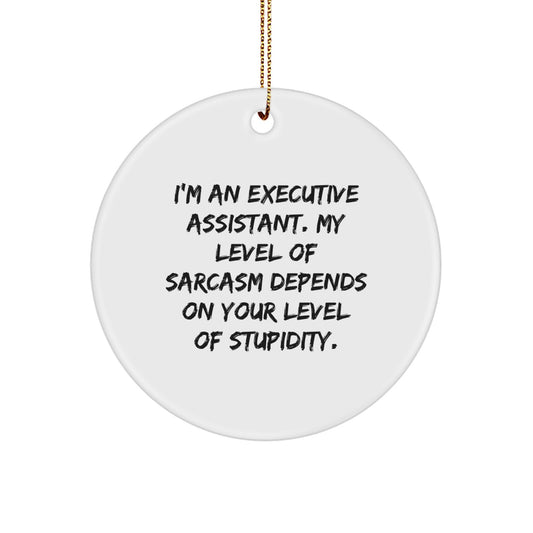 Funny Executive Assistant Gifts for Office - 'My Level Of Sarcasm Depends On Your Level Of Stupidity' Circle Ornament, Christmas Unique - Image 1