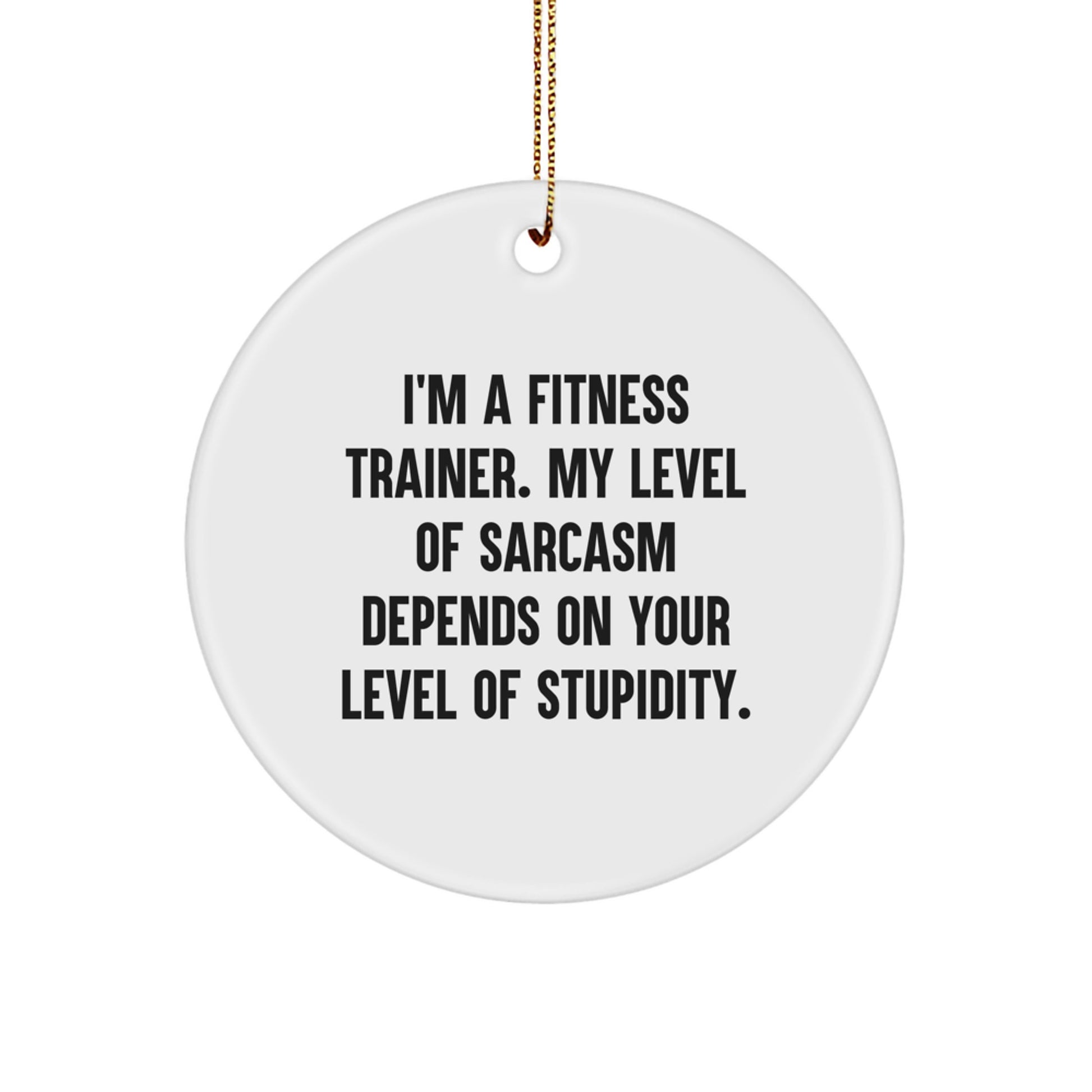 Funny Fitness Trainer Gifts for Men from Friends - Merry Christmas Unique Circle Ornament with Sarcasm Humor - Image 1