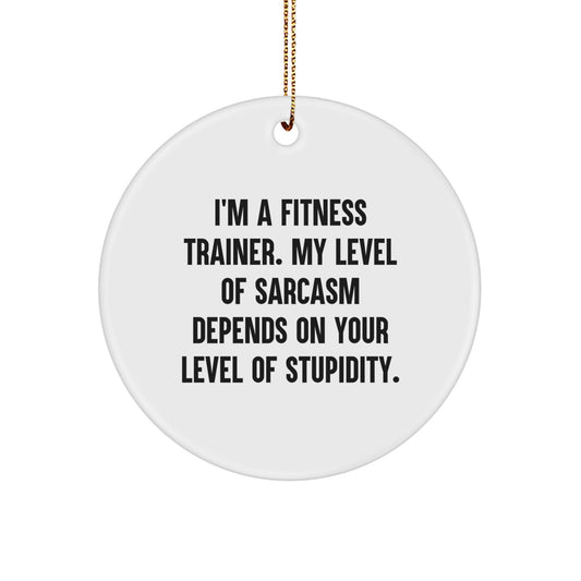 Funny Fitness Trainer Gifts for Men from Friends - Merry Christmas Unique Circle Ornament with Sarcasm Humor - Image 1