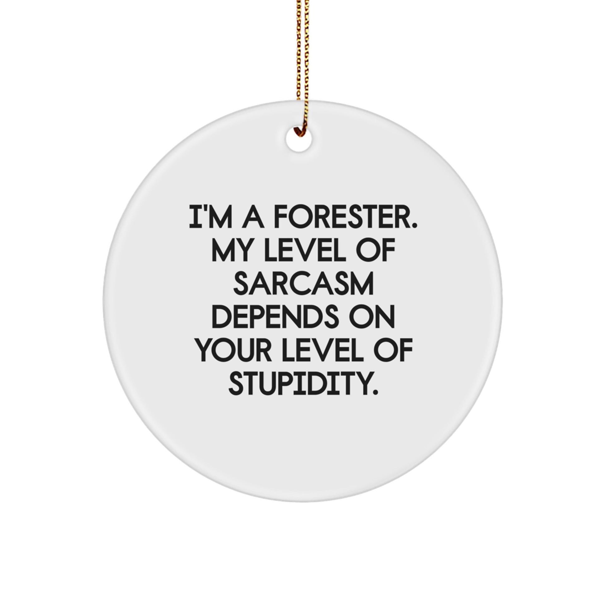 Funny Forester Circle Ornament, Gifts from Friends for Forester, Christmas Unique Gifts, I'm A Forester Sarcasm Quotes, Circle Shaped Ornament - Image 1