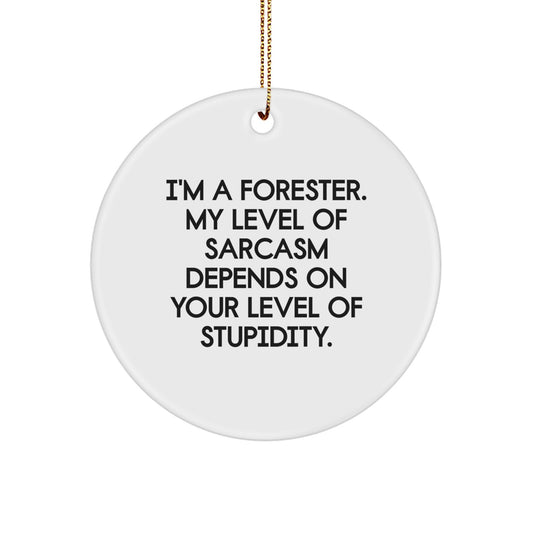 Funny Forester Circle Ornament, Gifts from Friends for Forester, Christmas Unique Gifts, I'm A Forester Sarcasm Quotes, Circle Shaped Ornament - Image 1