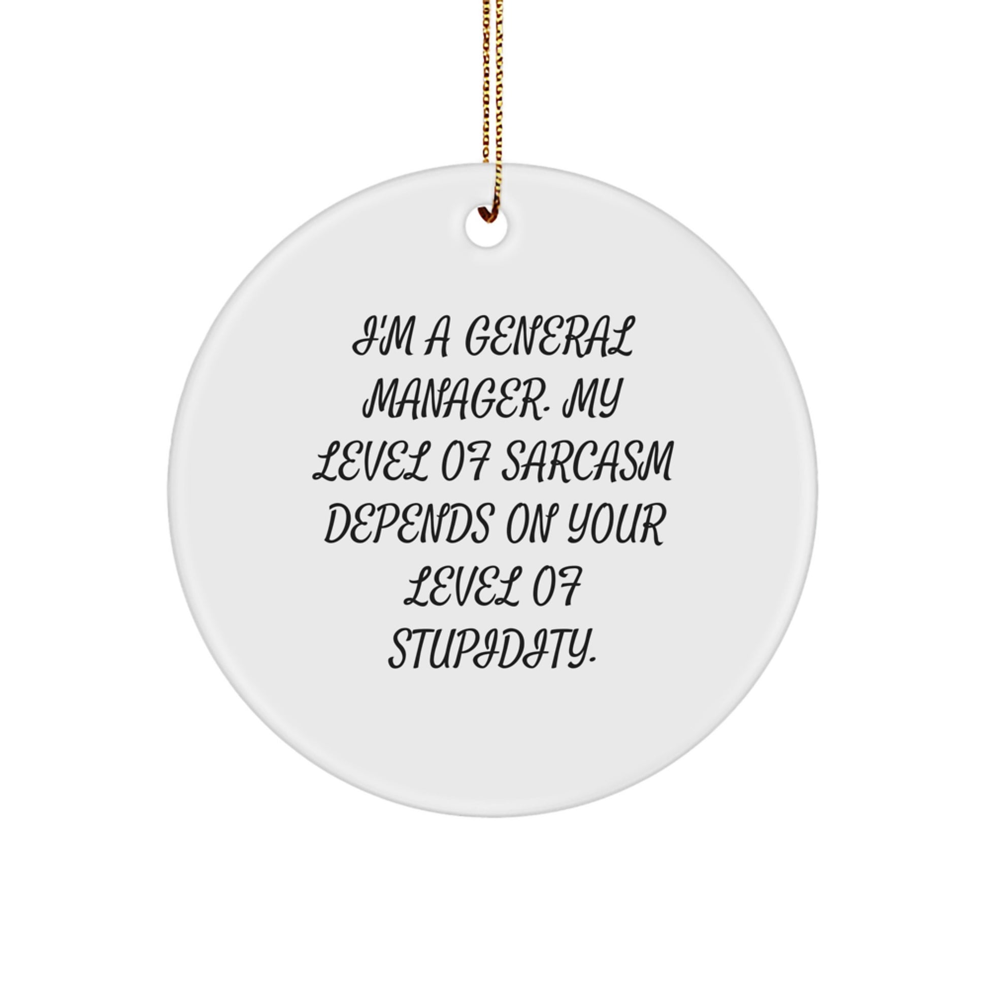 Funny General Manager Gifts from Men, Gifts for General Manager at Christmas Unique, Circle Ornament with Sarcasm Quote - Image 1
