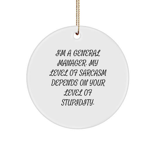 Funny General Manager Gifts from Men, Gifts for General Manager at Christmas Unique, Circle Ornament with Sarcasm Quote - Image 1