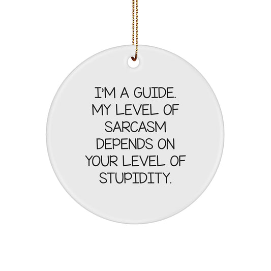 Funny Guide Gifts, I'm A Guide, My Level Of Sarcasm Depends On Your Level Of Stupidity, Circle Ornament, Christmas Unique Gifts for Friends and Family - Image 1