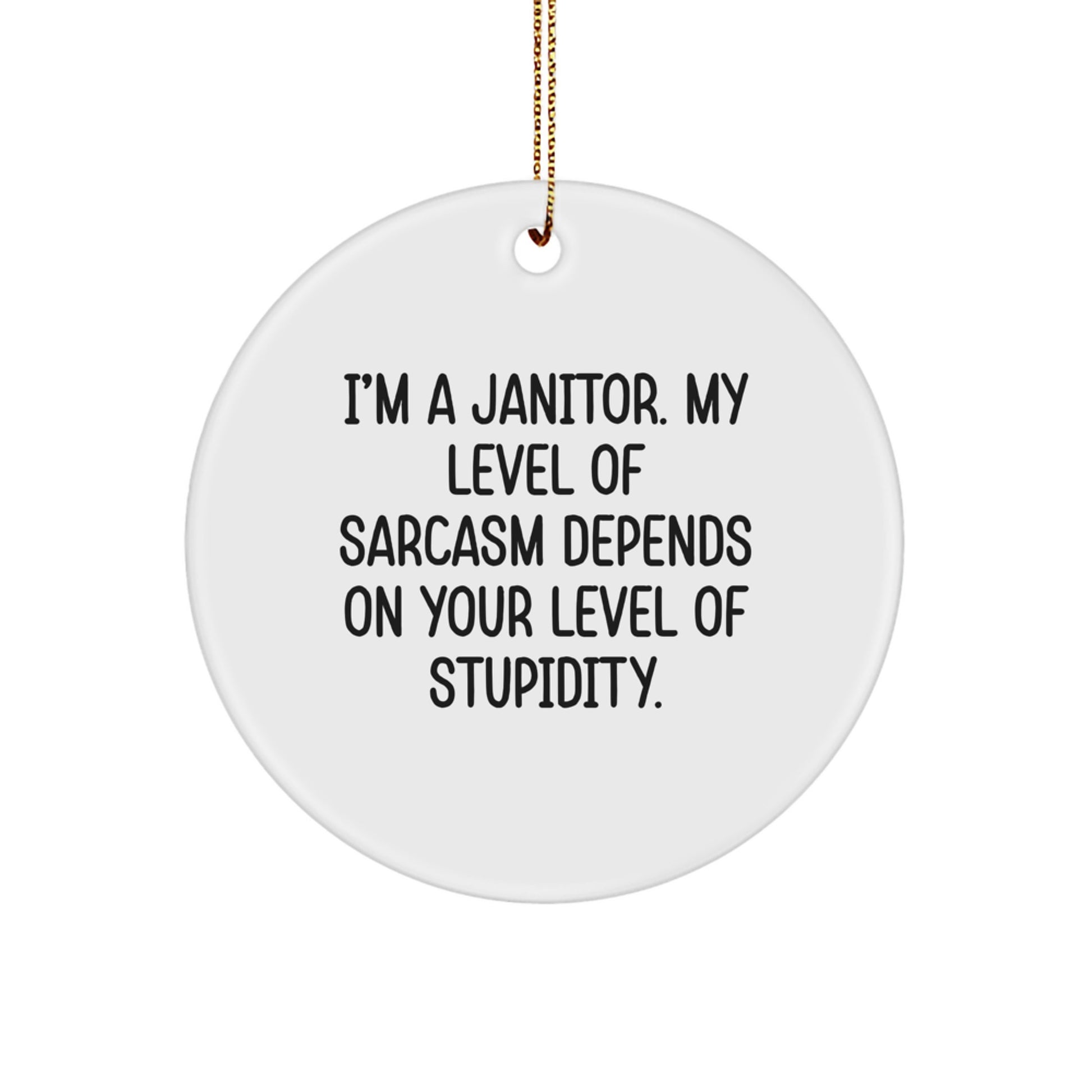 Janitor Circle Ornament for Coworkers Gift – Sarcasm on Stupidity - Image 1