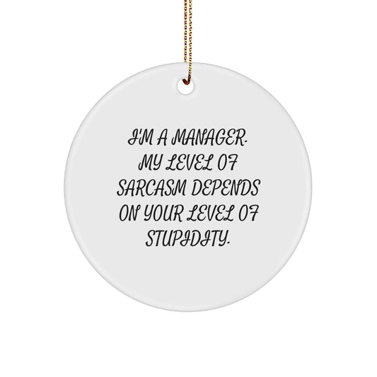 Funny Circle Ornament for Manager Gifts, Unique Christmas Memorable Presents for Men, Women, Coworkers, or Family - 'I'm A Manager. My Level Of Sarcasm Depends On Your Level Of Stupidity.' - Image 1