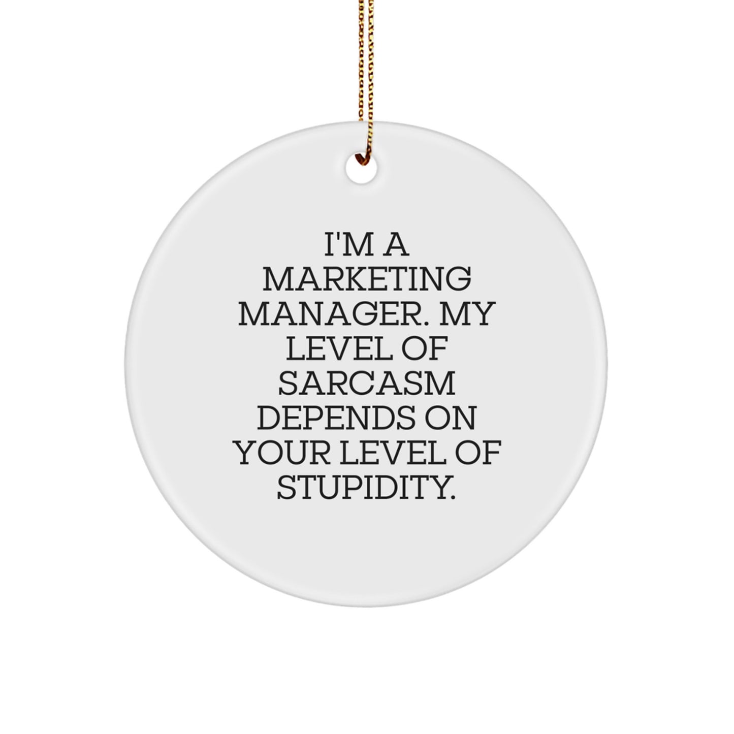 Funny Marketing Manager Gifts from Friends, Unique Circle Ornament for Men Christmas Unique Gifts, Sarcasm Level Stupidity - Image 1