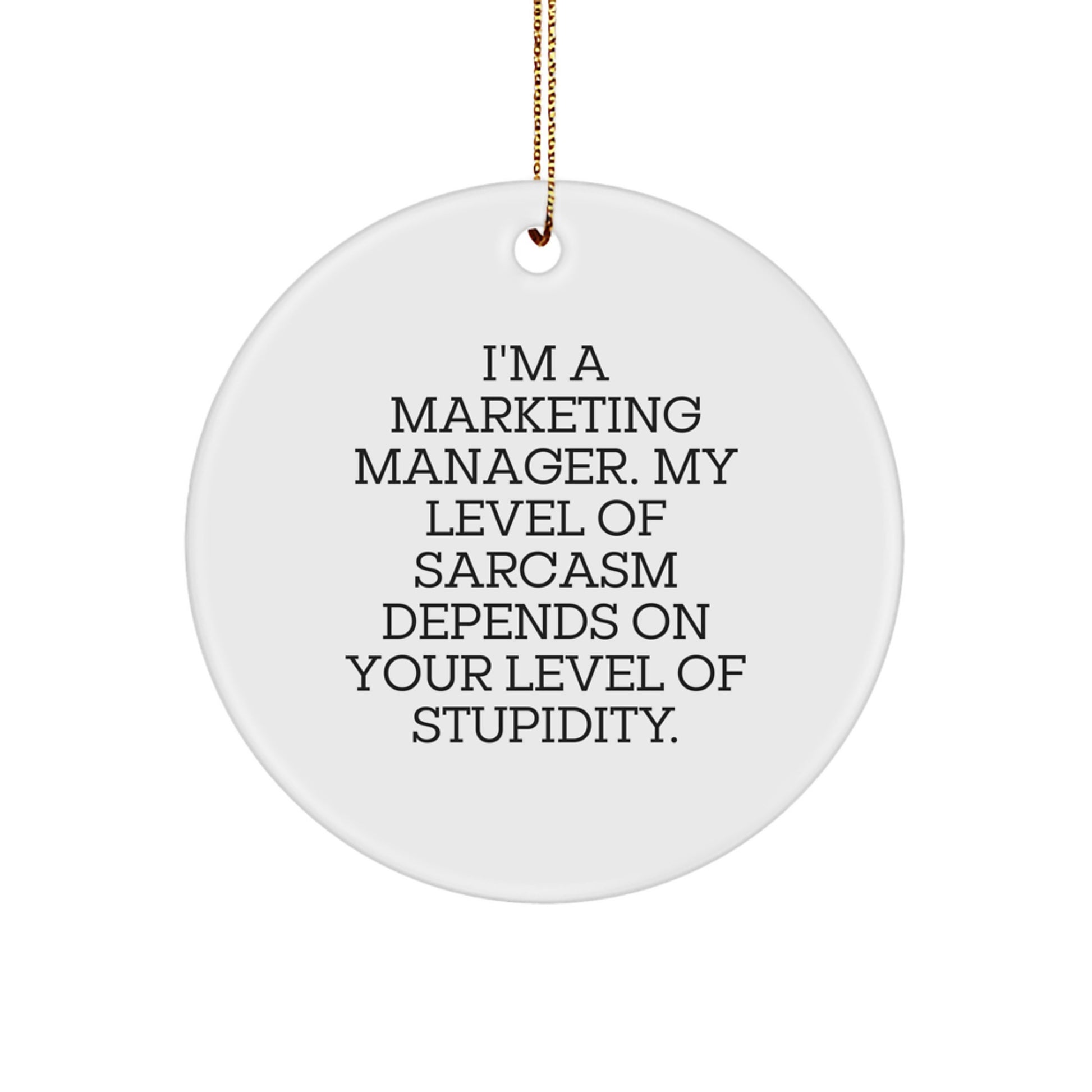 Funny Marketing Manager Gifts from Friends, Unique Circle Ornament for Men Christmas Unique Gifts, Sarcasm Level Stupidity - Image 1