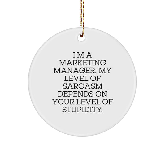 Funny Marketing Manager Gifts from Friends, Unique Circle Ornament for Men Christmas Unique Gifts, Sarcasm Level Stupidity - Image 1