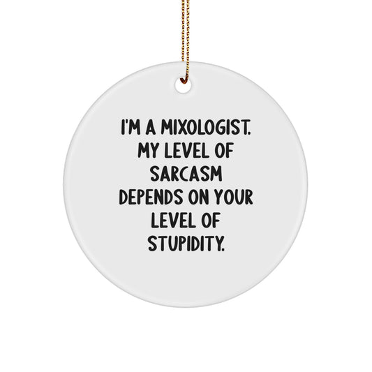 Mixologist Gifts from Friends for Christmas, Funny Circle Ornament with Sarcasm Quote, Unique Presents for Men, Women, or Coworkers - Image 1