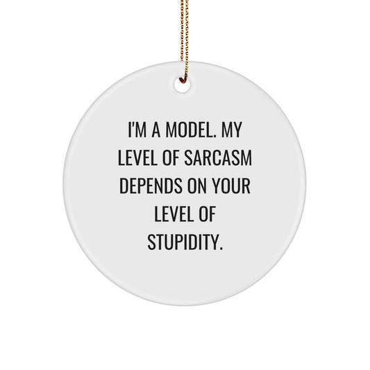 Funny Model Gifts from Friends for Christmas, Circle Ornament with 'I'm A Model. My Level Of Sarcasm Depends On Your Level Of Stupidity.' Quote, Perfect for Humorous Decoration - Image 1