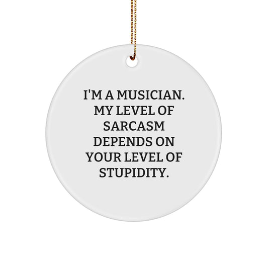 Musician Gifts from Friends - Christmas Circle Ornament with Sarcasm Quote, Funny Musician Present for Musician or Music Lovers, Circle Ornament Gifts for Men or Women - Image 1