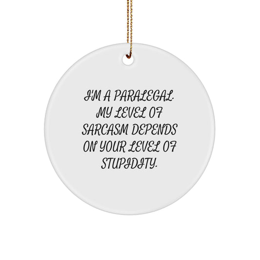 Funny Paralegal Gifts from Friends and Family for Christmas Unique Circle Ornaments - Image 1