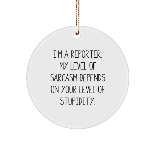 Funny Reporter Gifts for Him, 'I'm A Reporter. My Level Of Sarcasm Depends On Your Level Of Stupidity.' Circle Ornament, Gifts from Men to Friends, Family, Coworkers for Christmas Unique Presents - Image 1